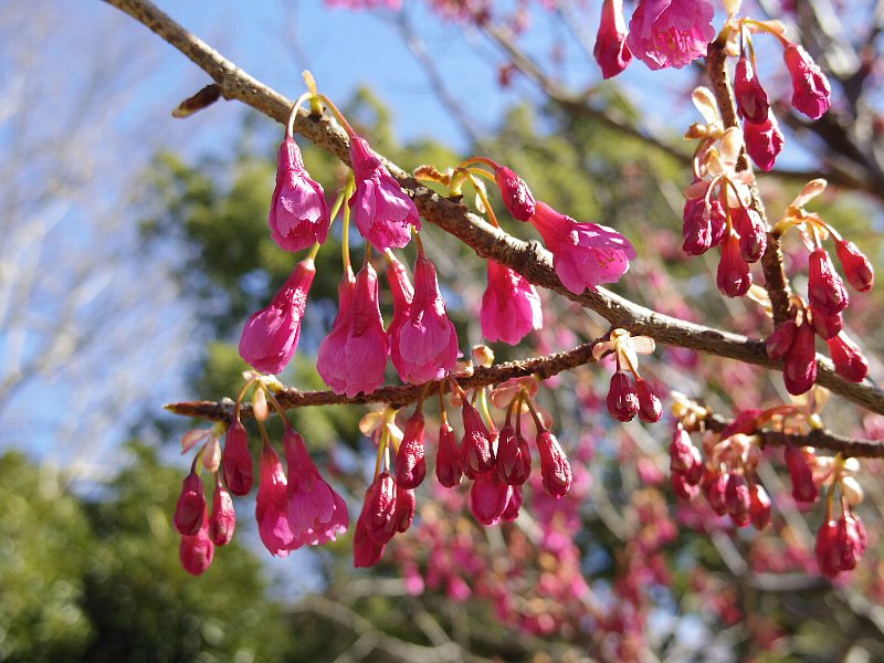 b0084270_0404451.jpg