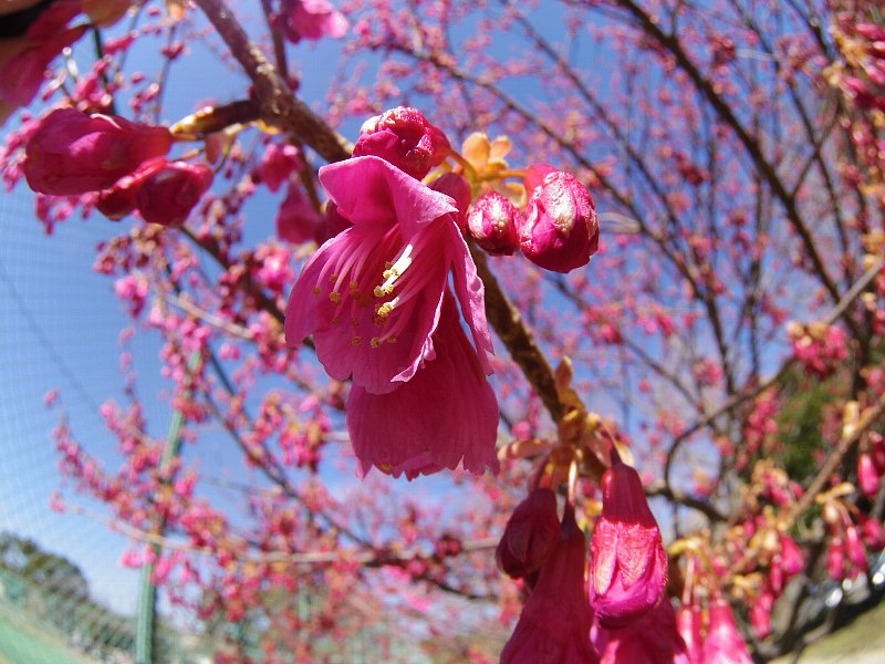 b0084270_0404964.jpg