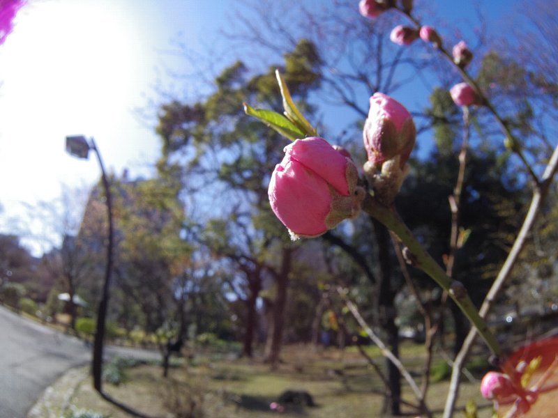 b0084270_04132.jpg