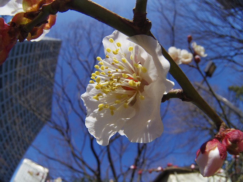 b0084270_0422335.jpg
