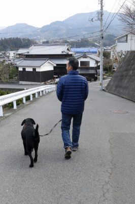 f0037378_1811560.gif