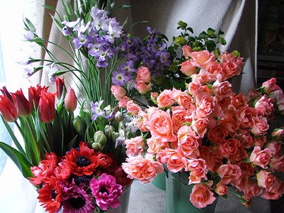 f0007380_19491398.jpg