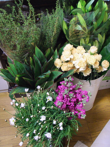 f0007380_19502044.jpg