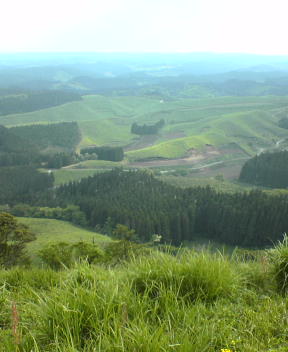 f0137483_11211083.jpg