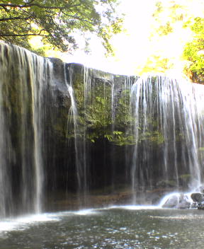 f0137483_1132188.jpg