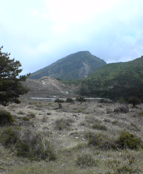 f0137483_11362767.jpg