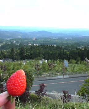 f0137483_11381970.jpg