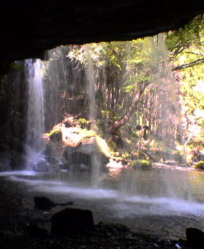 f0137483_114353.jpg