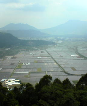 f0137483_1181322.jpg