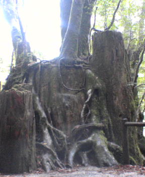 f0137483_12125139.jpg
