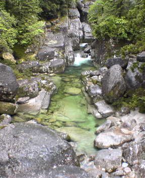 f0137483_12211861.jpg