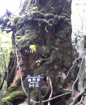 f0137483_12233023.jpg