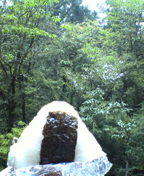 f0137483_12263497.jpg