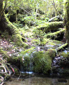 f0137483_1237728.jpg