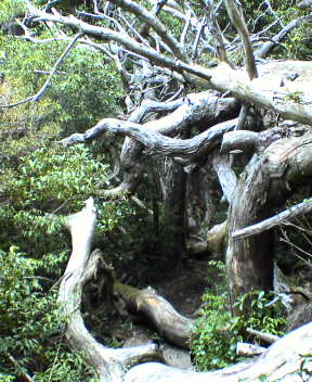 f0137483_124015.jpg