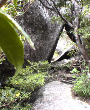 f0137483_12411539.jpg