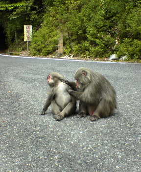 f0137483_12461682.jpg