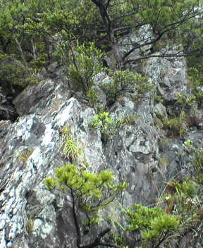 f0137483_1248423.jpg