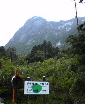 f0137483_12493930.jpg