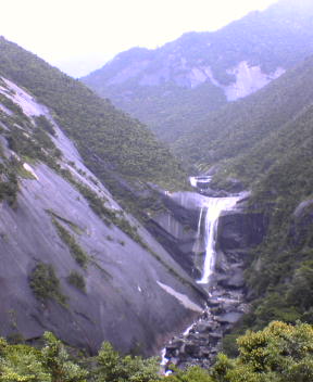 f0137483_12502572.jpg