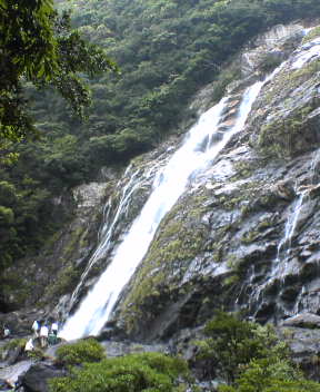 f0137483_12512152.jpg