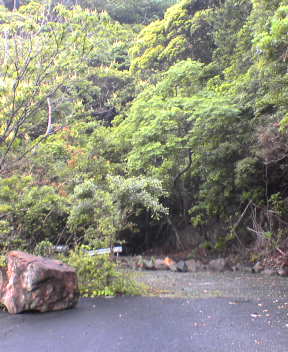 f0137483_12523693.jpg