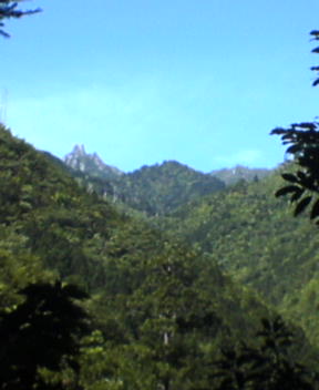 f0137483_13102696.jpg