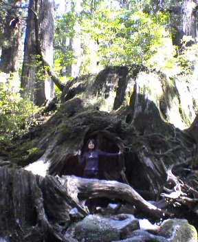 f0137483_13111742.jpg