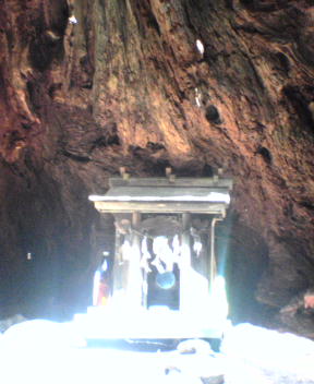 f0137483_1312871.jpg