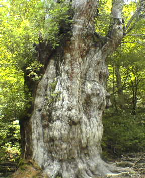 f0137483_13134796.jpg