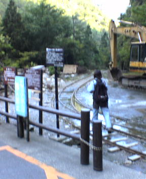 f0137483_1354014.jpg