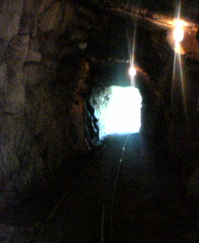 f0137483_1385774.jpg