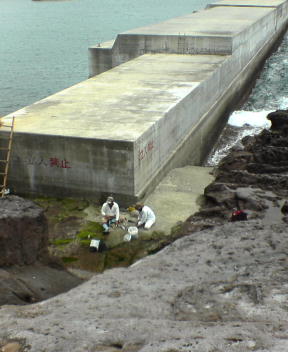 f0137483_940694.jpg