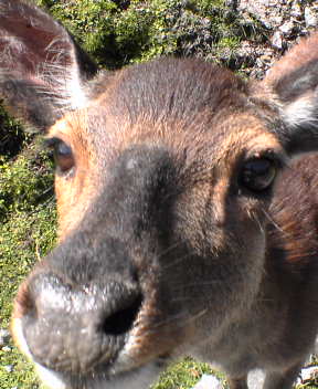 f0137483_9433555.jpg