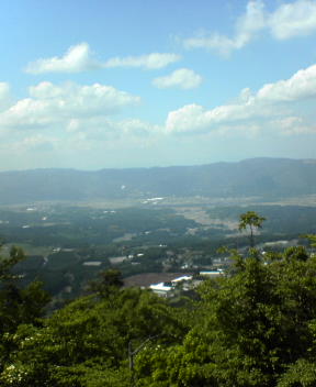 f0137483_9443618.jpg