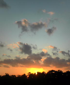 f0137483_9452315.jpg