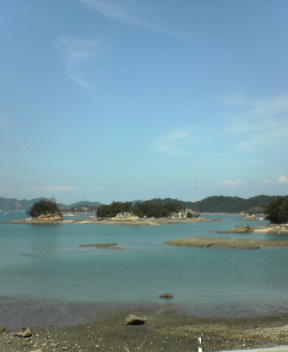 f0137483_953286.jpg