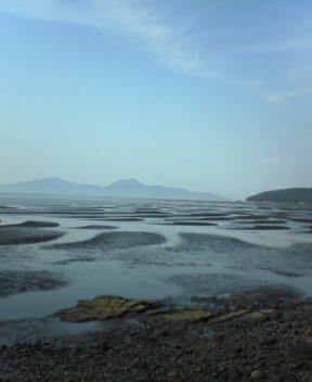 f0137483_9535220.jpg