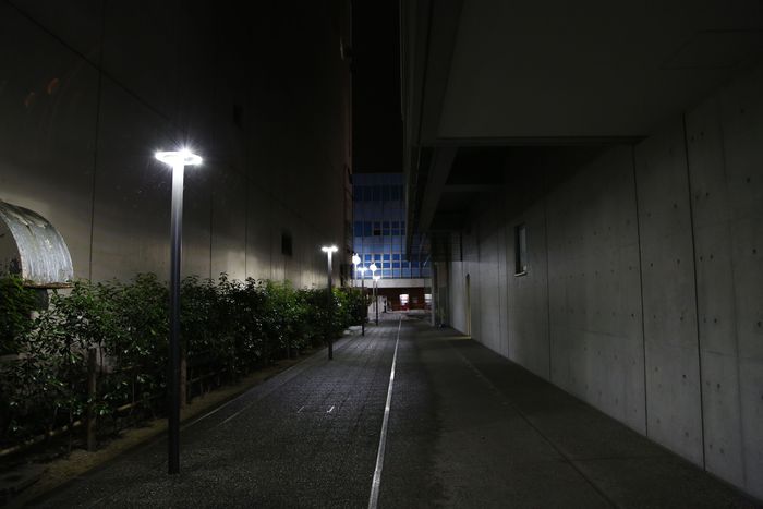 d0027893_2104027.jpg