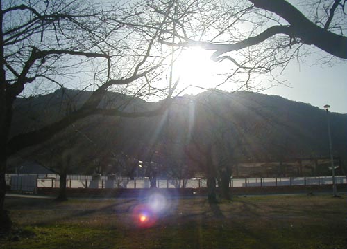 d0053294_22221431.jpg