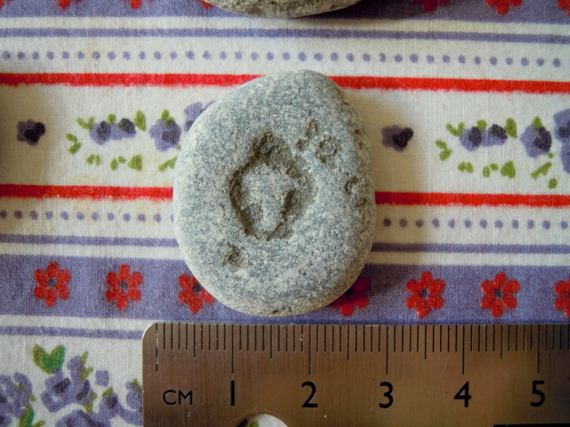 c0114797_2125826.jpg