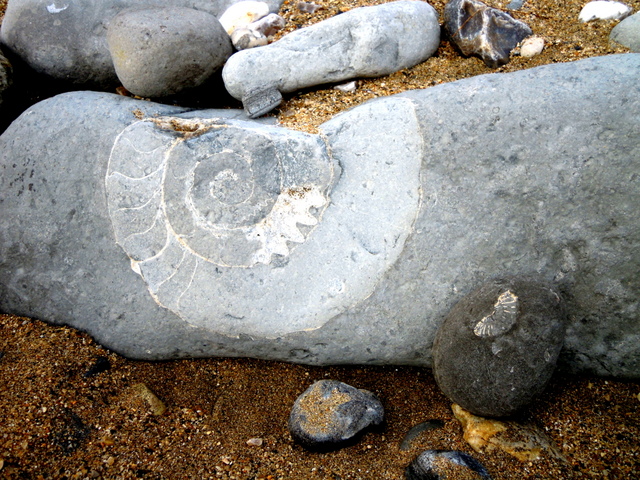 c0114797_2135949.jpg