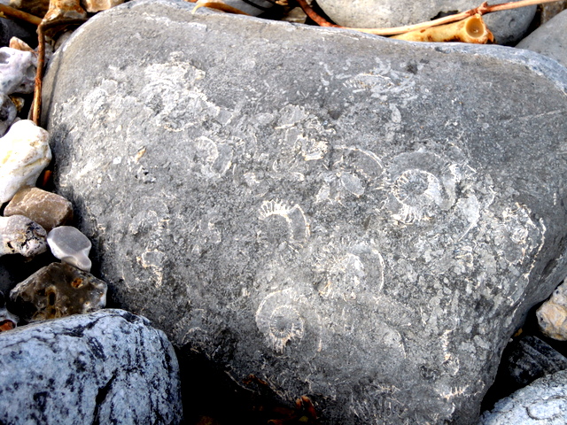 c0114797_2141418.jpg