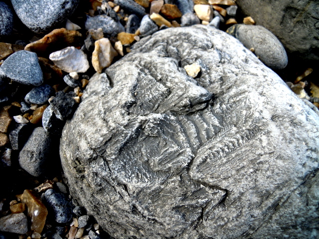 c0114797_2143049.jpg