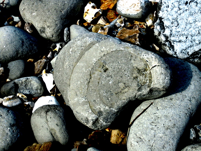 c0114797_2145171.jpg