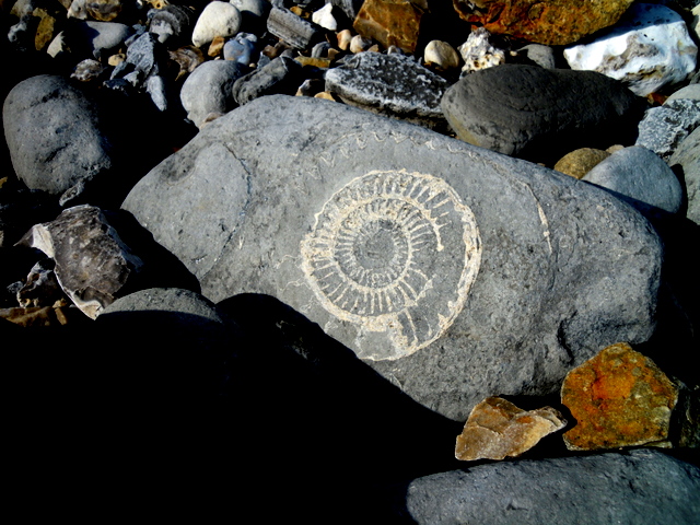 c0114797_215128.jpg