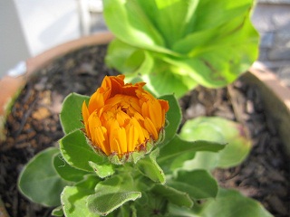 c0152002_17531825.jpg