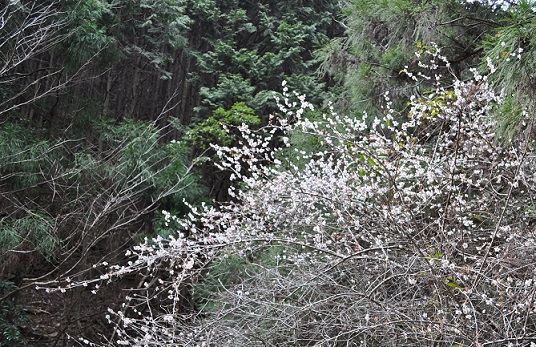 e0258208_945423.jpg
