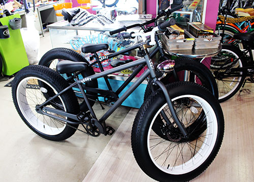 a0139912_1425467.jpg