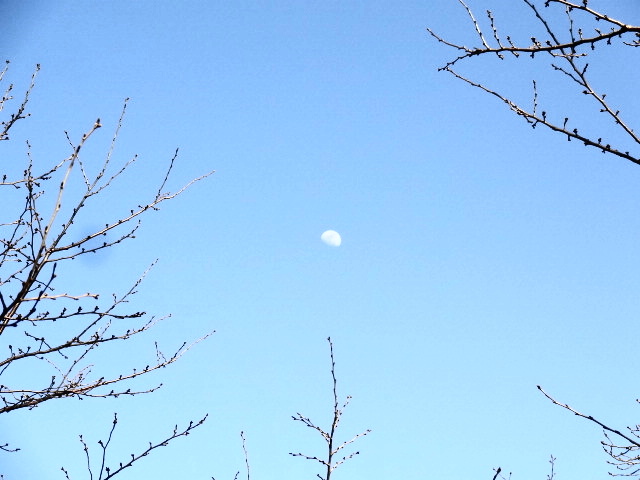 e0016828_11354127.jpg